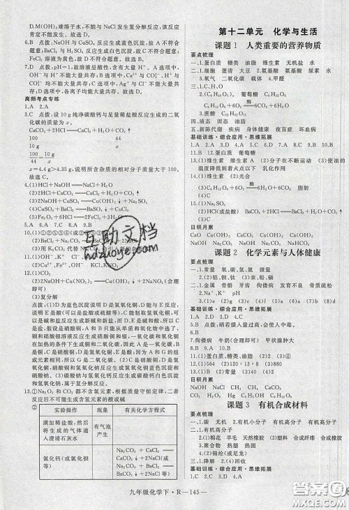 河南专用2020春优翼学练优九年级化学下册人教版答案 河南专用2020春优翼学练优九年级化学下册人教版答案