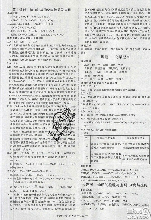 河南专用2020春优翼学练优九年级化学下册人教版答案