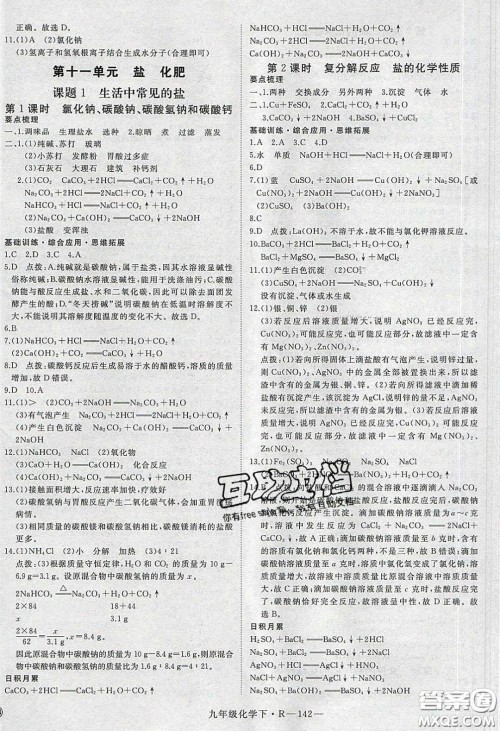 河南专用2020春优翼学练优九年级化学下册人教版答案