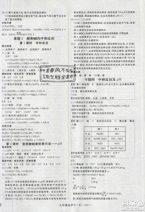 河南专用2020春优翼学练优九年级化学下册人教版答案