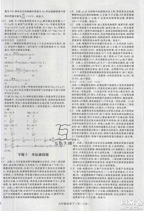 河南专用2020春优翼学练优九年级化学下册人教版答案