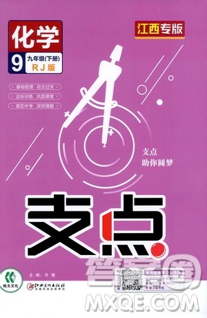 2020年支点化学九年级下册RJ版人教版江西专版参考答案