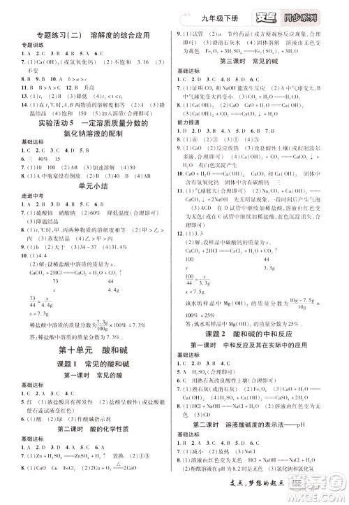 2020年支点化学九年级下册RJ版人教版江西专版参考答案 2020年支点化学九年级下册RJ版人教版江西专版参考答案