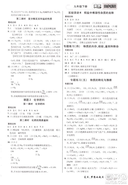 2020年支点化学九年级下册RJ版人教版江西专版参考答案 2020年支点化学九年级下册RJ版人教版江西专版参考答案