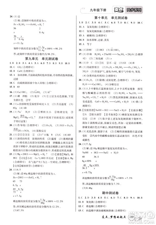 2020年支点化学九年级下册RJ版人教版江西专版参考答案 2020年支点化学九年级下册RJ版人教版江西专版参考答案