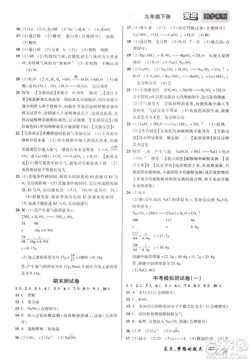 2020年支点化学九年级下册RJ版人教版江西专版参考答案 2020年支点化学九年级下册RJ版人教版江西专版参考答案