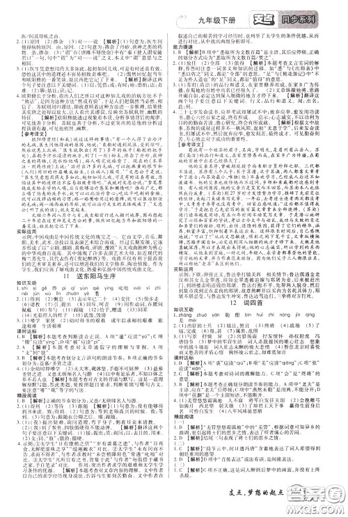 2020年支点语文九年级下册RJ版人教版江西专版参考答案