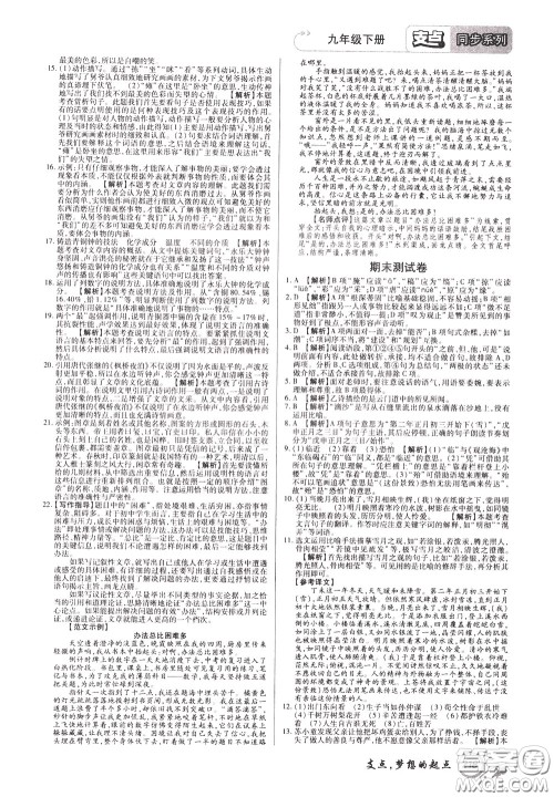 2020年支点语文九年级下册RJ版人教版江西专版参考答案