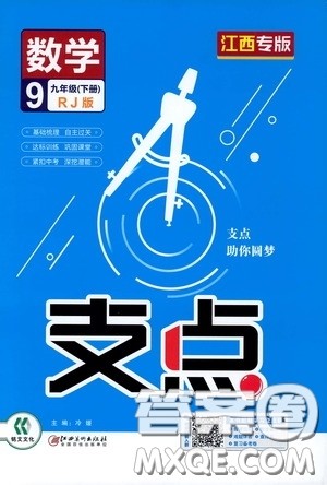 2020年支点数学九年级下册RJ版人教版江西专版参考答案