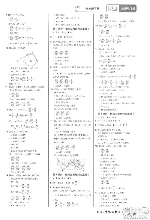 2020年支点数学九年级下册RJ版人教版江西专版参考答案