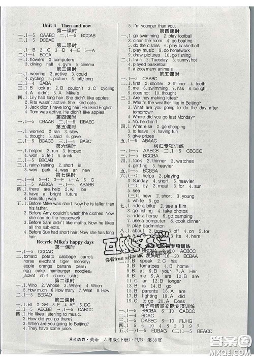 延边教育出版社2020年新版导学练习乐享英语六年级下册人教版答案