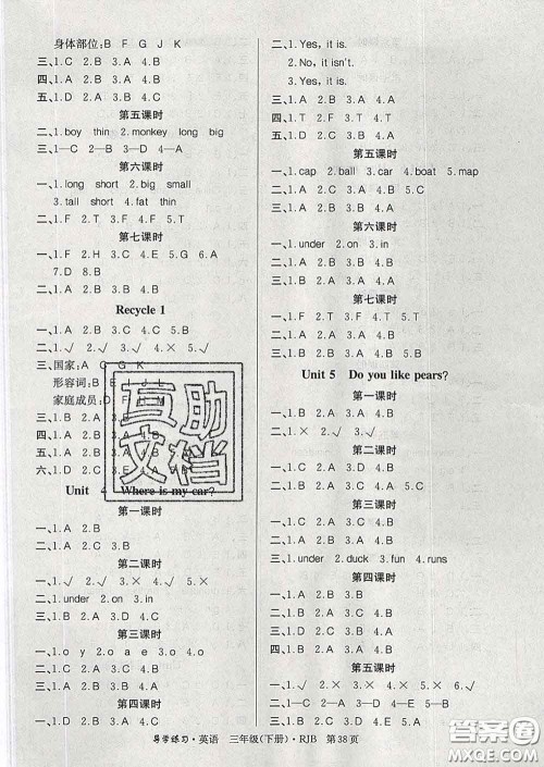 延边教育出版社2020年新版导学练习乐享英语三年级下册人教版答案