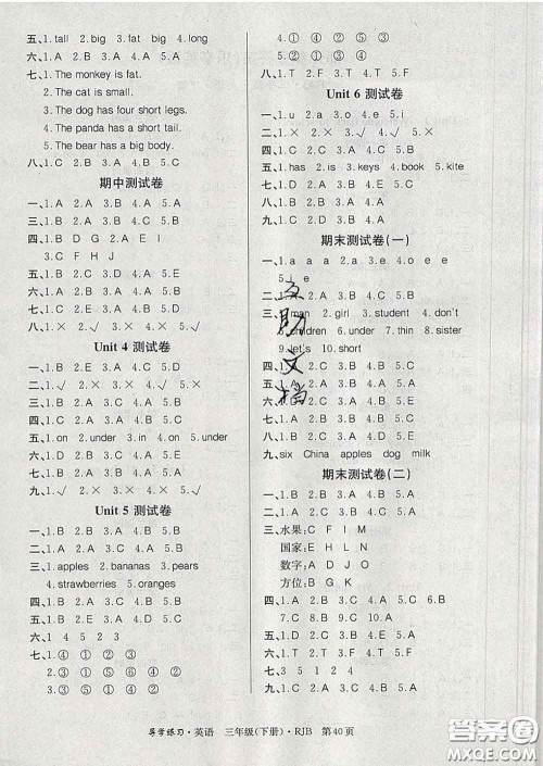 延边教育出版社2020年新版导学练习乐享英语三年级下册人教版答案