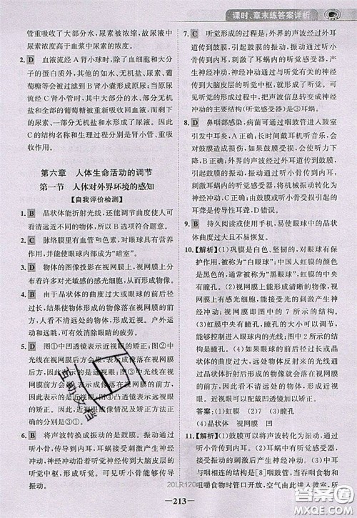 世纪金榜2020新版金榜大讲堂七年级下册生物人教版RJ参考答案