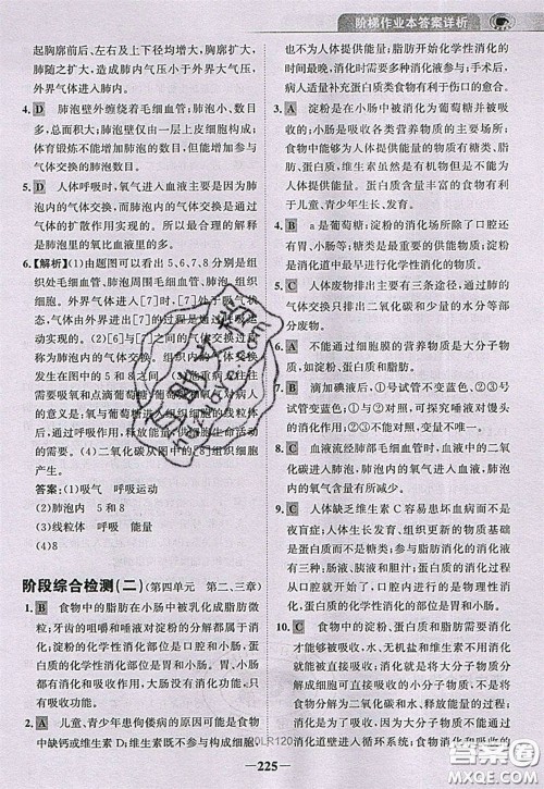 世纪金榜2020新版金榜大讲堂七年级下册生物人教版RJ参考答案