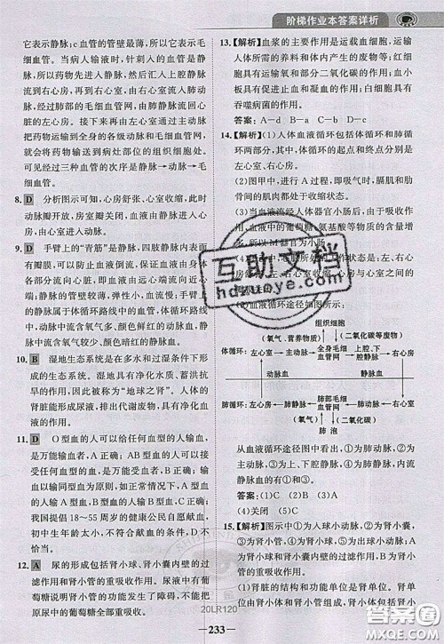 世纪金榜2020新版金榜大讲堂七年级下册生物人教版RJ参考答案