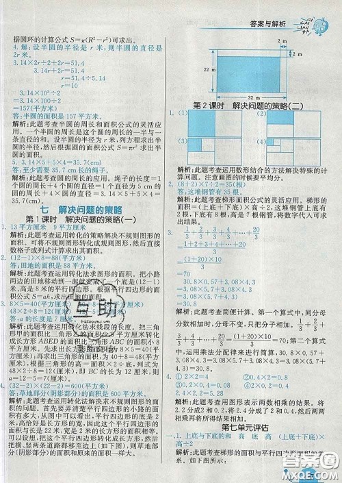 河北教育出版社2020新版七彩练霸五年级数学下册苏教版答案