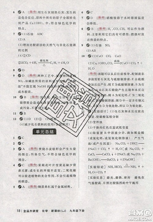 2020春全品大讲堂初中化学九年级下册新课标LJ鲁教版参考答案
