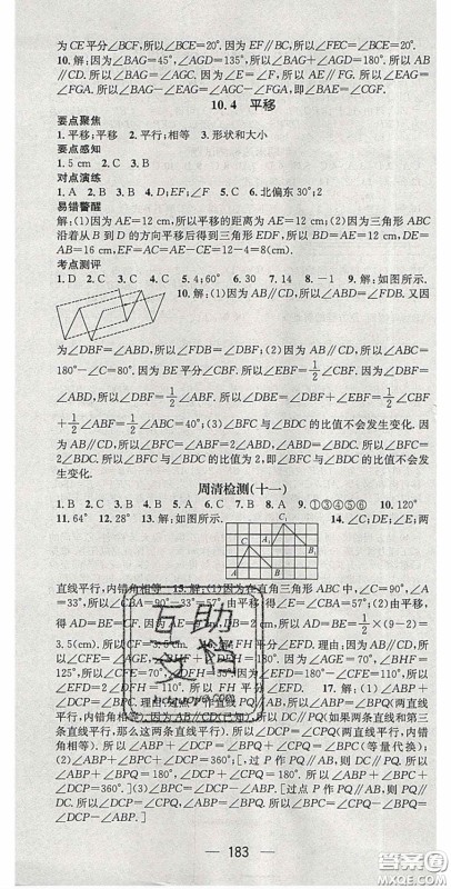精英新课堂2020春七年级数学下册沪科版答案