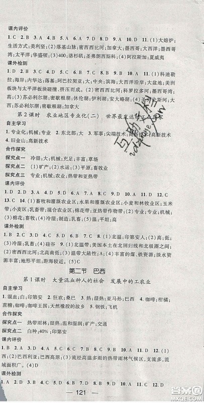阳光出版社2020精英新课堂七年级地理下册人教版答案 阳光出版社2020精英新课堂七年级地理下册人教版答案