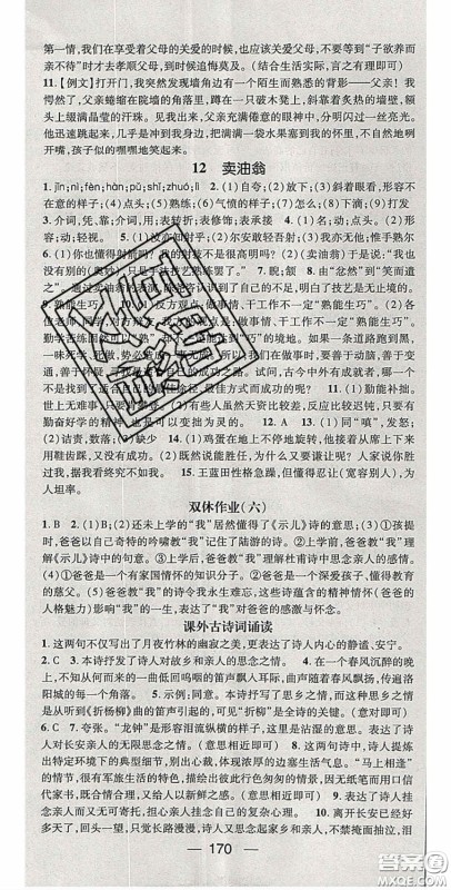 阳光出版社2020精英新课堂七年级语文下册人教版答案