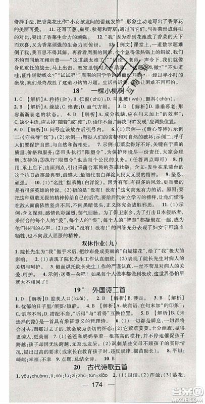 阳光出版社2020精英新课堂七年级语文下册人教版答案