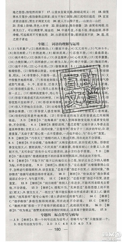 阳光出版社2020精英新课堂七年级语文下册人教版答案