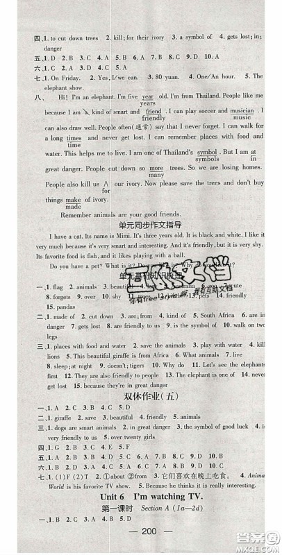 阳光出版社2020精英新课堂七年级英语下册人教版答案 阳光出版社2020精英新课堂七年级英语下册人教版答案