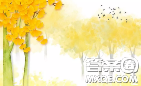 这一次选择XX作文600字 这一次选择XX600字作文