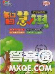 2020年智慧树同步讲练测英语三年级下册PEP人教版参考答案