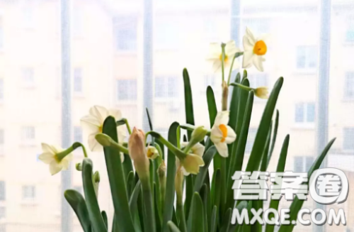 停课不停学老师感受 停课不停学老师给学生的话 停课不停学老师感受 停课不停学老师给学生的话