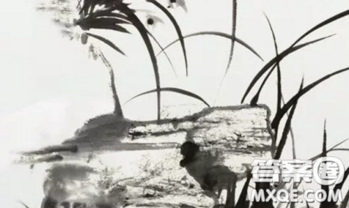 透过疫情看世界作文800字 关于透过疫情看世界作文800字