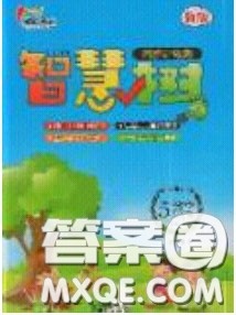 2020年智慧树同步讲练测数学五年级下册苏教版参考答案