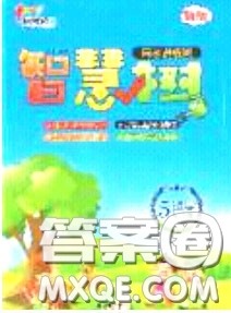 2020年智慧树同步讲练测数学五年级下册人教版参考答案