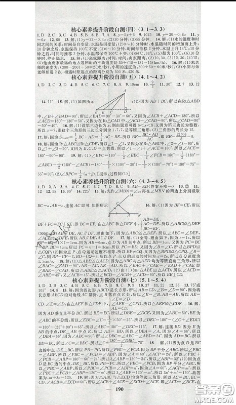 2020年智慧学堂核心素养提升法七年级下册数学北师大版参考答案