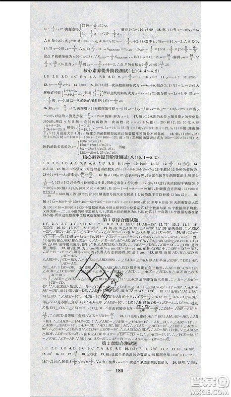 2020年智慧学堂核心素养提升法八年级下册数学湘教版参考答案