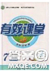2020年有效课堂课时导学案七年级下册数学北师大版参考答案