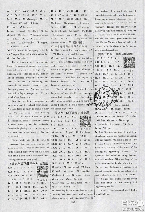 宁夏人民教育出版社2020畅优新课堂九年级英语下册人教版答案
