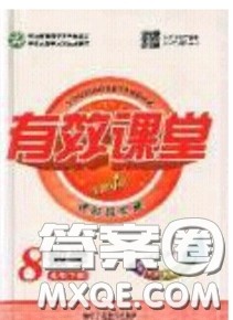 2020年有效课堂课时导学案八年级下册数学沪科版参考答案 2020年有效课堂课时导学案八年级下册数学沪科版参考答案