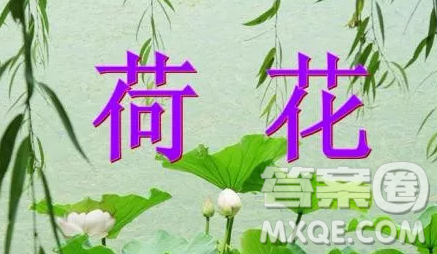 描写夏天的小学生作文400字最新 描写夏天的作文400字