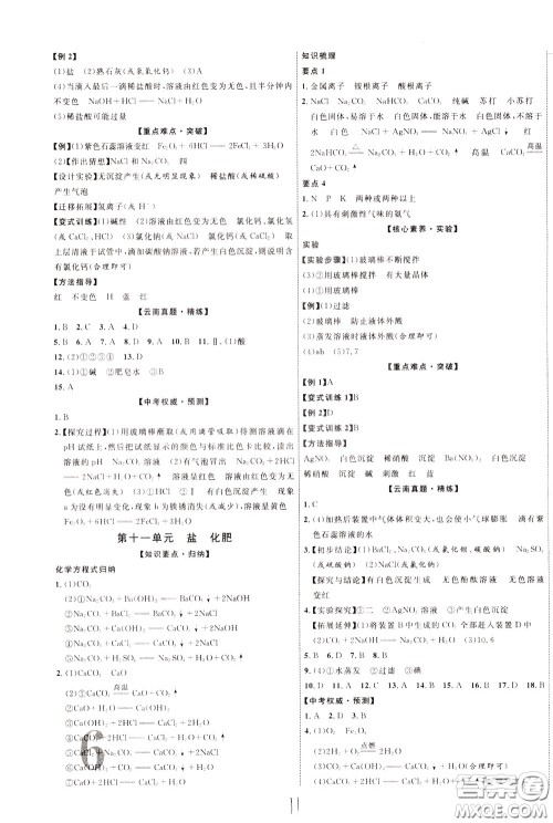 2020升级版云南中考新突破化学参考答案