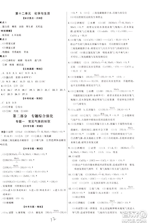 2020升级版云南中考新突破化学参考答案 2020升级版云南中考新突破化学参考答案