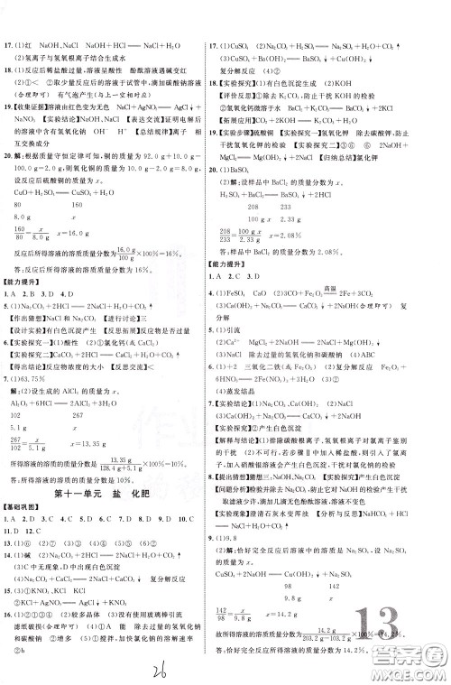 2020升级版云南中考新突破化学参考答案 2020升级版云南中考新突破化学参考答案