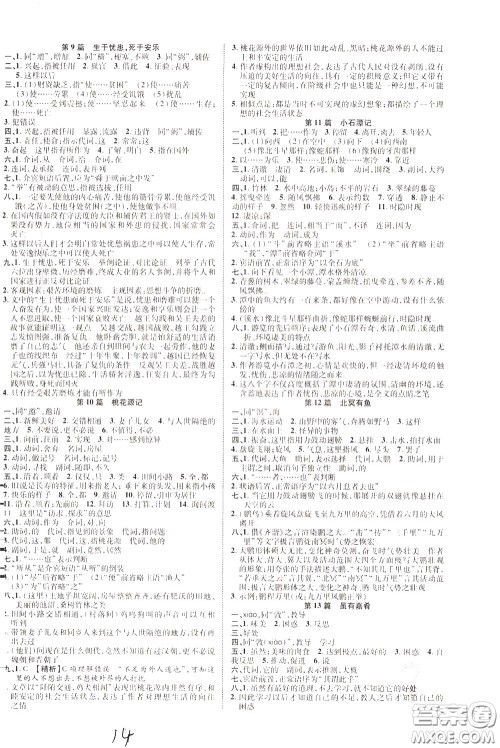 2020升级版云南中考新突破语文参考答案