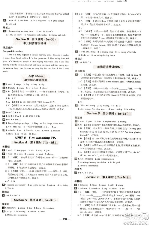 状元成才路2020年状元导练七年级下册英语人教版参考答案