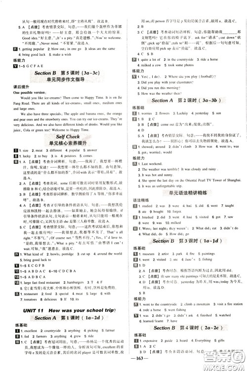 状元成才路2020年状元导练七年级下册英语人教版参考答案