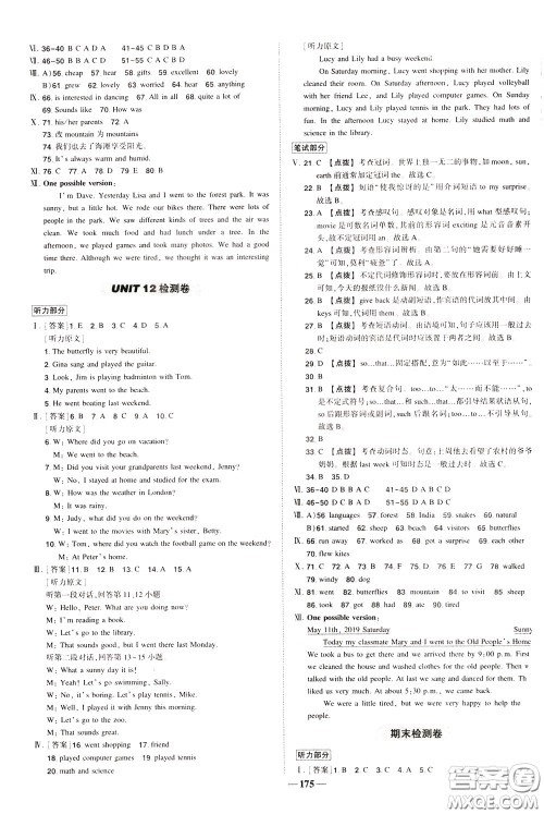 状元成才路2020年状元导练七年级下册英语人教版参考答案