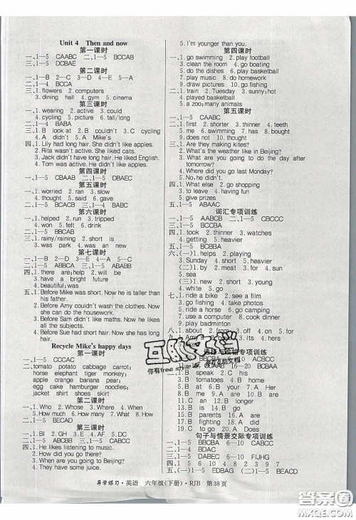 延边教育出版社2020课课帮乐享英语导学练习六年级下册人教版答案