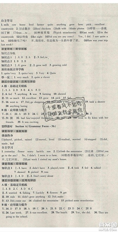 2020名校秘题全程导练导学案七年英语下册人教版答案