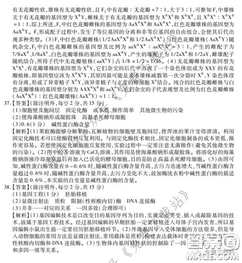 2020年普通高等学校招生全国统一考试高考仿真模拟信息卷押题卷一生物答案 2020年普通高等学校招生全国统一考试高考仿真模拟信息卷押题卷一生物答案